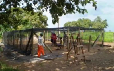 Projeto de recuperação do córrego angico na comunidade quilombola