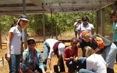 Projeto plantar é viver
