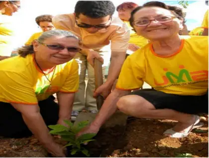 Projeto semear maduro
