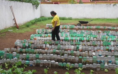 Projeto semeando novos hábitos