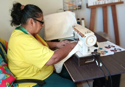 CRIACAO-DA-HUB-DE-BIOECONOMIA-E-ECONOMIA-PRATEADA-JUNTO-A-UNIVERSIDADE-DA-MATURIDADE-2024-2